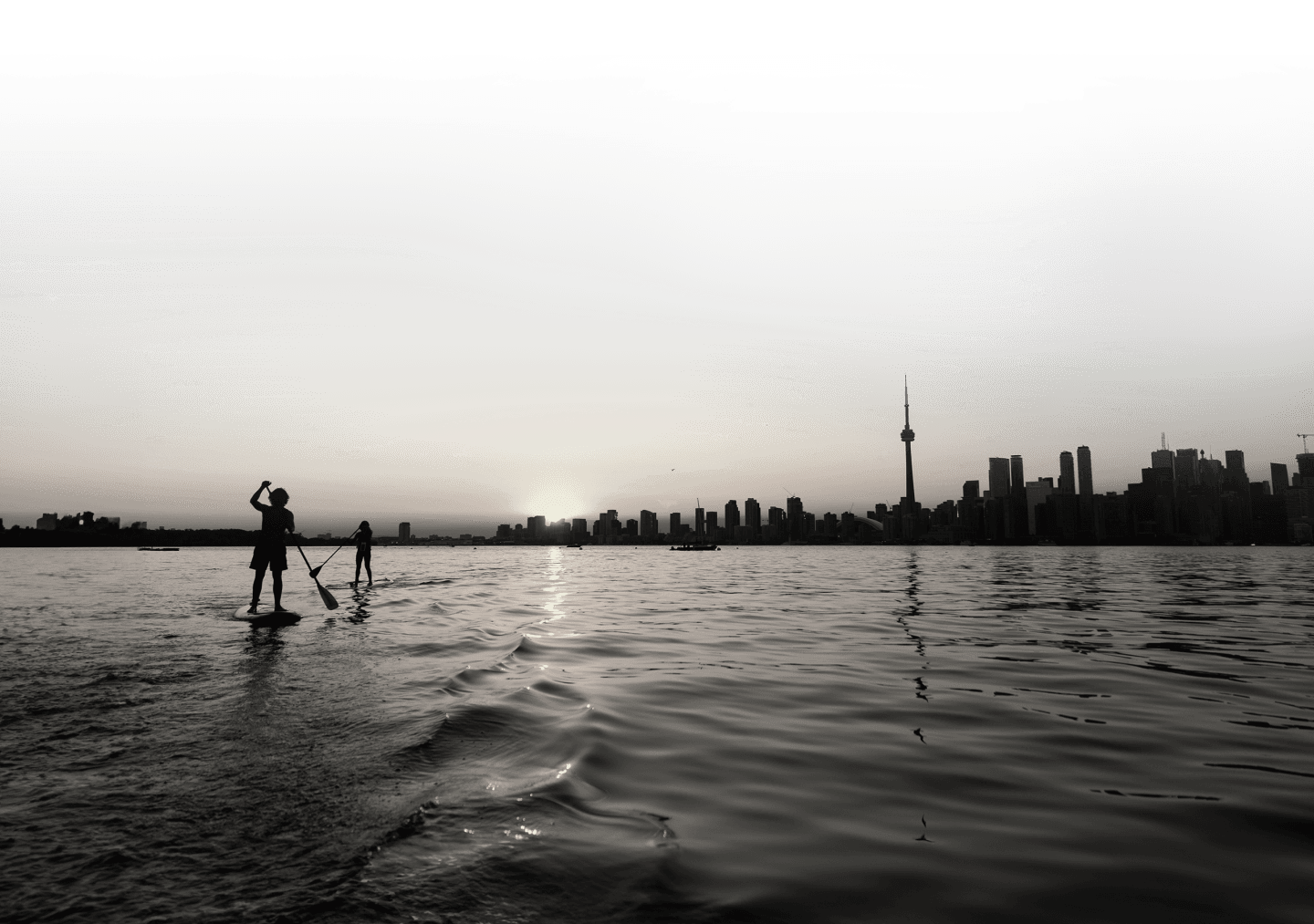 Waterfront Paddleboard